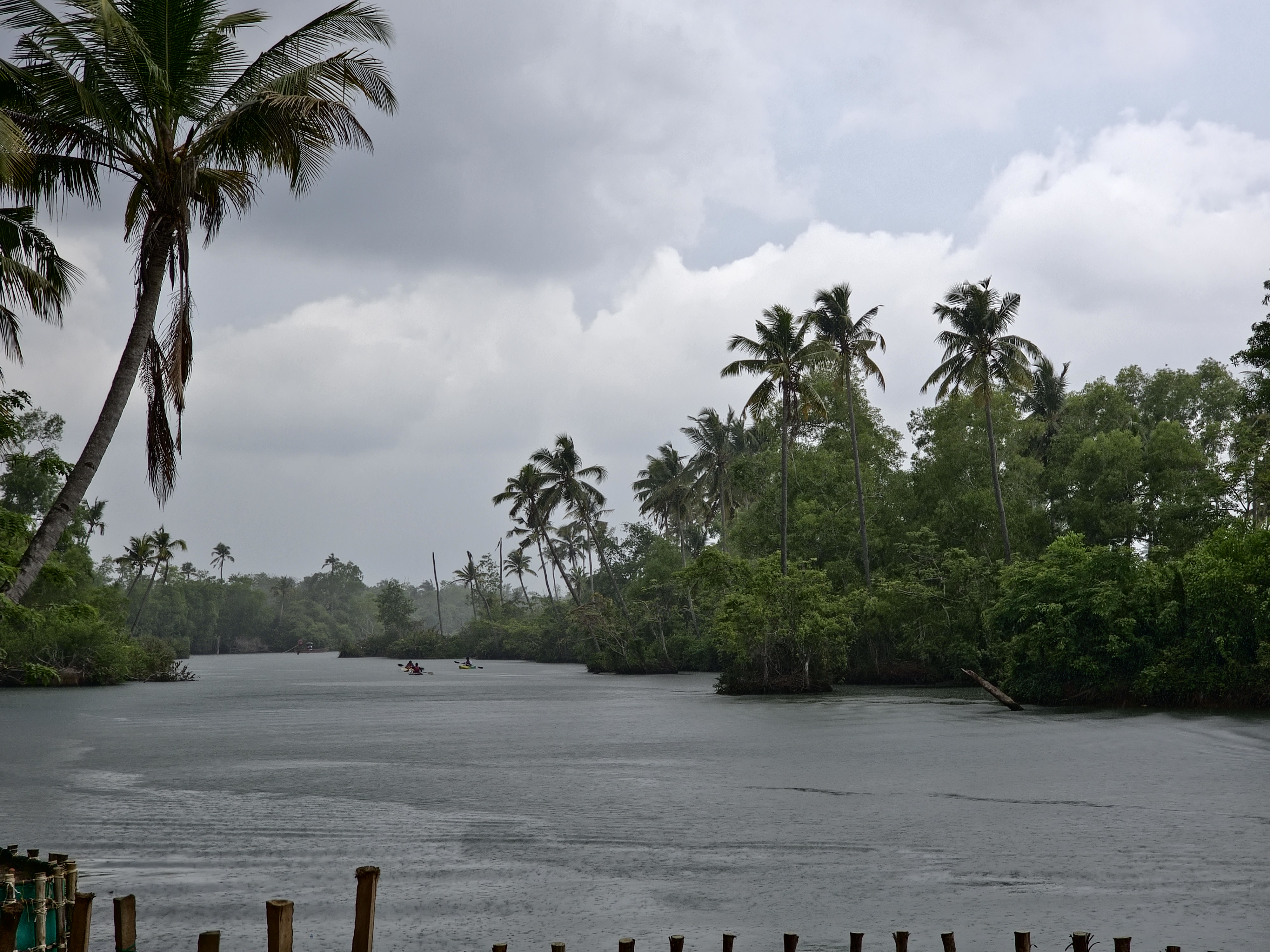 Kayaking in serene backwaters of Nedungolam